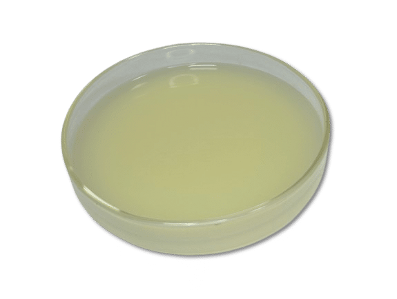 Sauermolke